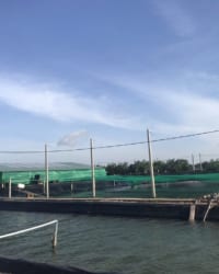 Cung cấp màng chống thấm HDPE Nha Trang – Khánh Hòa