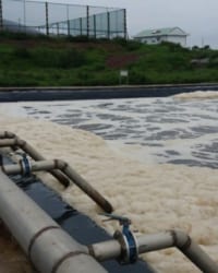 Màng chống thấm HDPE Việt Nam