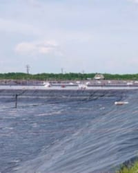 Màng chống thấm HDPE ứng dụng trong nuôi trồng thủy sản