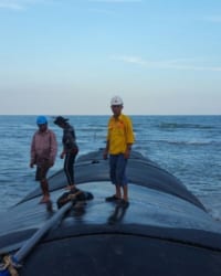 Tản mạn về đi những chuyến công tác – Phú An Nam