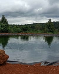 11 ứng dụng của màng chống thấm HDPE trong sản xuất nông nghiệp