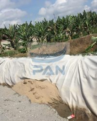 Vải địa kỹ thuật dùng trong xây dựng di tu nâng cấp đường ở Cà Mau