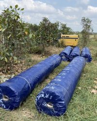 Vải Địa Kỹ Thuật TS50 Tại Bình Thuận