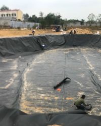 Màng chống thấm HDPE – Màng HDPE tại Bình Thuận.