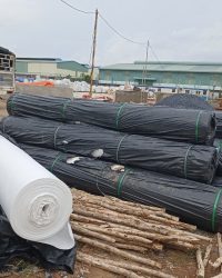 Xác định lực kéo giật và độ giãn dài kéo giật của vải địa