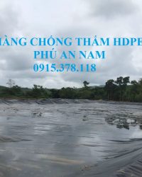 Màng chống thấm HDPE tại Trà Vinh