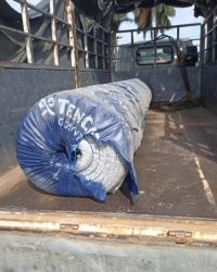 Vải Địa Kỹ Thuật TS50 Tại Trà Vinh