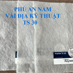 Vải Địa Kỹ Thuật TS 30