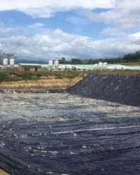 Màng chống thấm HDPE làm hầm biogas​