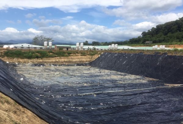 Màng chống thấm HDPE làm hầm biogas phổ biến trong chăn nuôi
