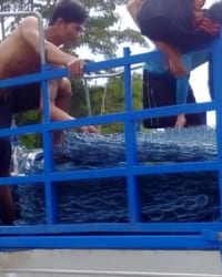 Rọ đá – vải địa kỹ thuật nâng cấp đồng bằng sông Cửu Long.