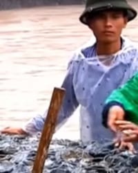 Rọ đá – Rọ Đá Mạ Kẽm – Rọ Đá Bọc Nhựa PVC tại Trà Vinh.