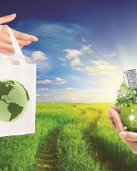 Ưu việt và nhược điểm khi dùng vật tư tái sinh, thân thiện môi trường