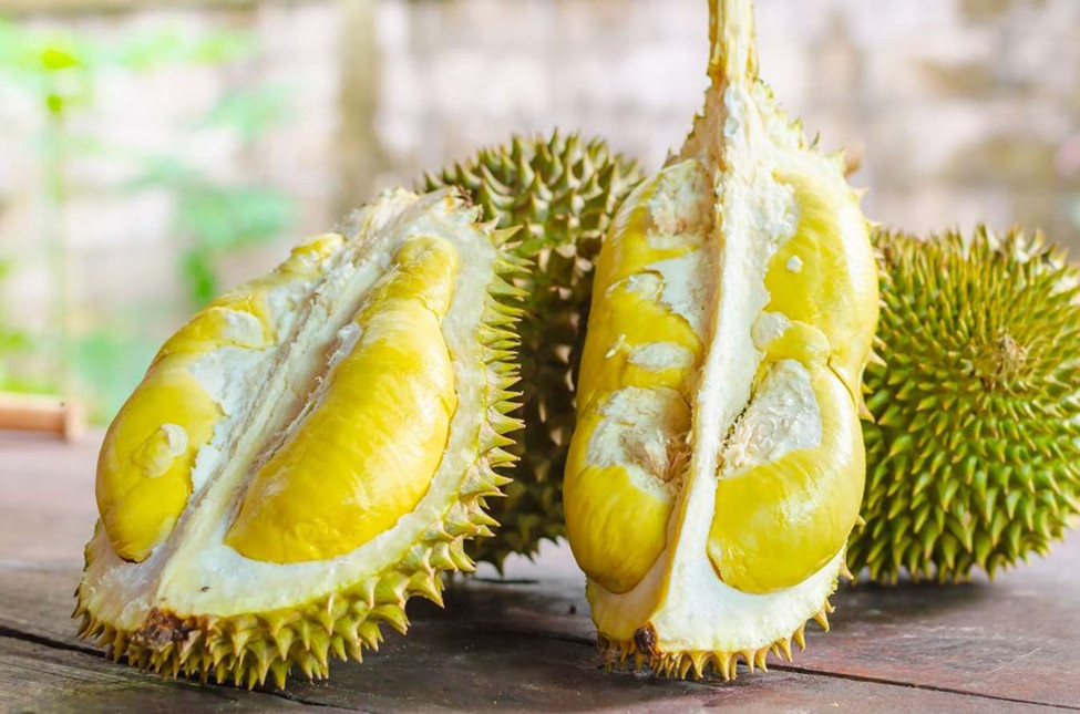 Sầu riêng là trái cây đặc trưng nổi tiếng của Việt Nam