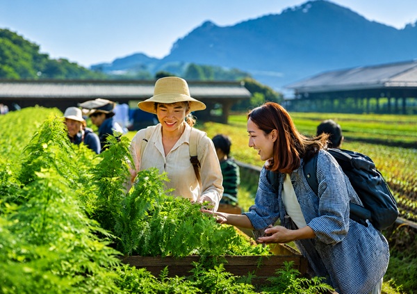 Tìm hiểu mô hình nông trại sạch kết hợp du lịch sinh thái