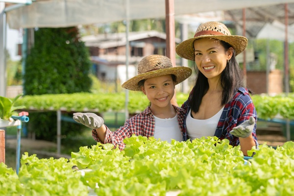 Nông trại sinh thái kết hợp cả sản xuất, chăn nuôi và du lịch trải nghiệm