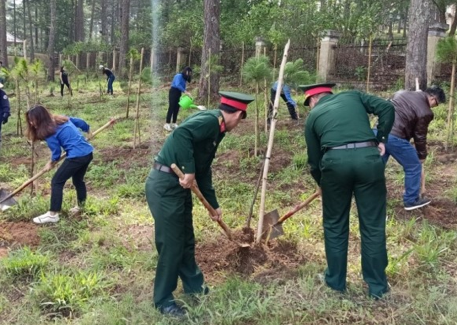 Mọi người cùng nhau tham gia trồng cây, trồng rừng