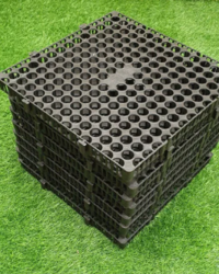 Tìm hiểu về vỉ nhựa trồng cây – Giải pháp xanh cho không gian của bạn