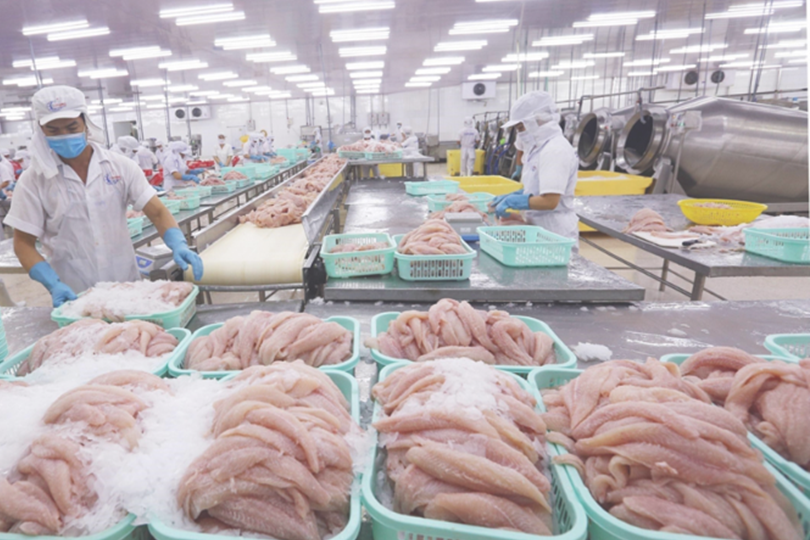 Thị trường xuất khẩu cá da trơn sôi động tại Việt Nam
