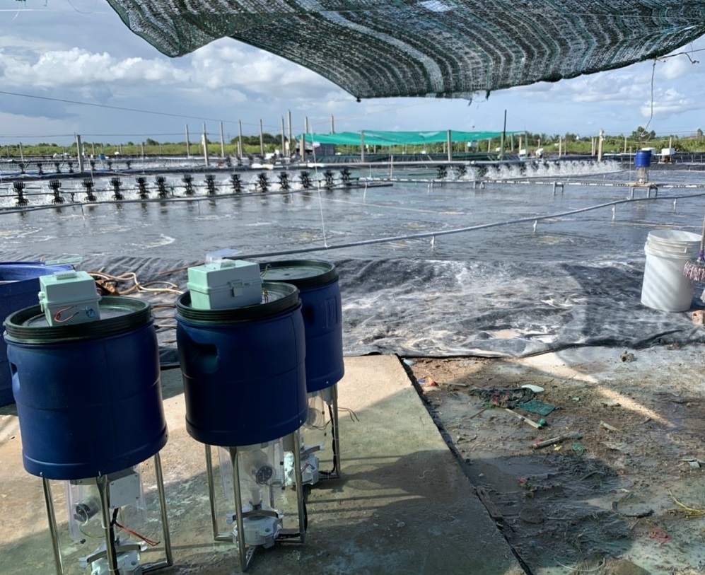 Tối ưu chi phí vận hành và tăng tỷ lệ sống thì nên cân nhắn ao bạt HDPE