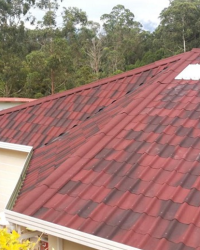 Tìm hiểu về ngói sinh thái