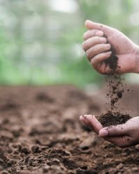 Các biện pháp chống xói mòn đất hiệu quả