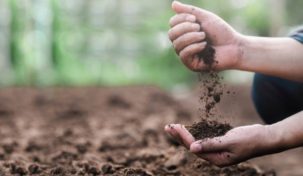 Các biện pháp chống xói mòn đất hiệu quả