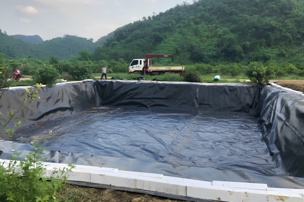 Bạt nuôi cá có tác dụng ngăn nước tuyệt đối