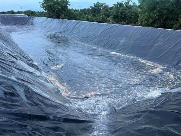 Loại bạc lót hồ cá HDPE